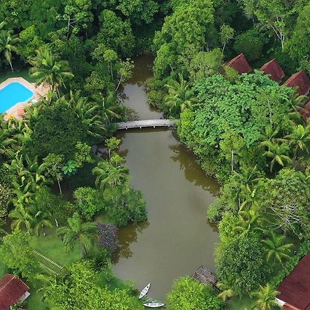 Pousada Salve Floresta Tapiraí Exteriér fotografie