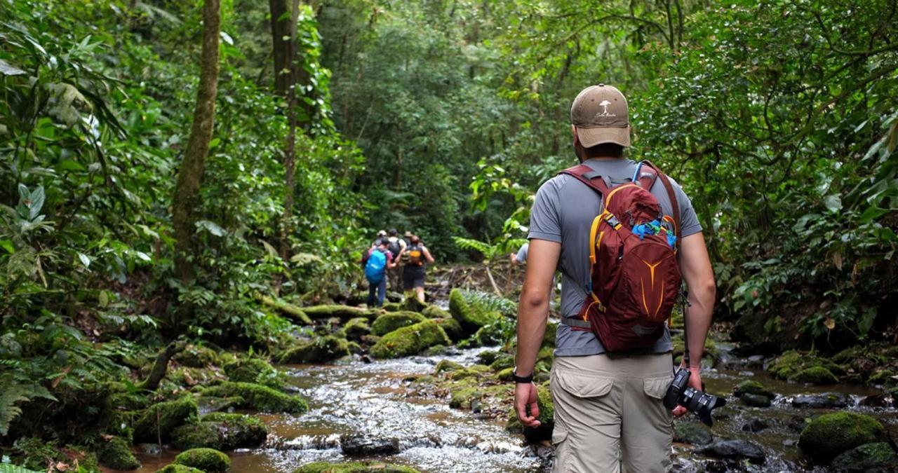 Hotel Pousada Salve Floresta Tapiraí Exteriér fotografie