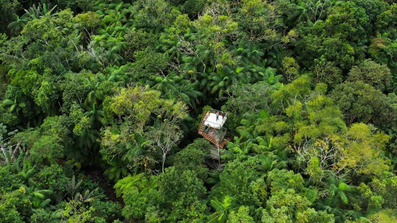 Pousada Salve Floresta Tapiraí Exteriér fotografie