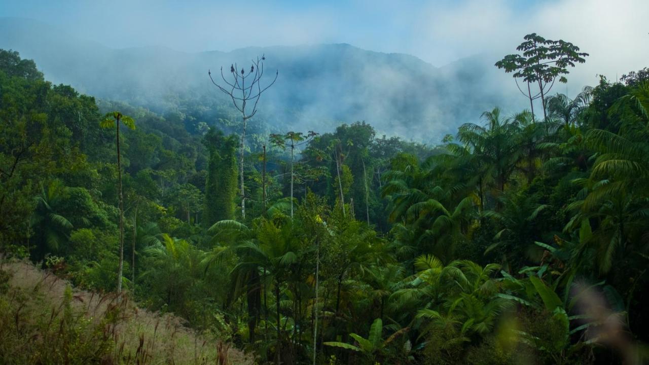 Hotel Pousada Salve Floresta Tapiraí Exteriér fotografie