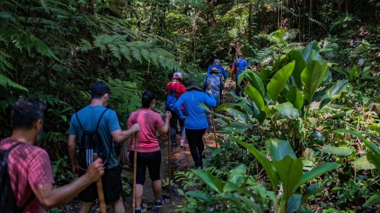 Hotel Pousada Salve Floresta Tapiraí Exteriér fotografie