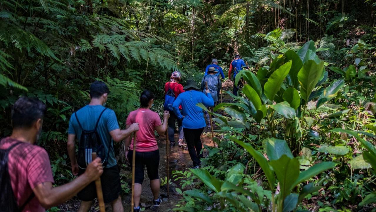 Pousada Salve Floresta Tapiraí Exteriér fotografie