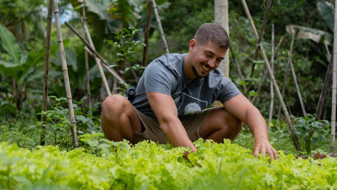 Pousada Salve Floresta Tapiraí Exteriér fotografie