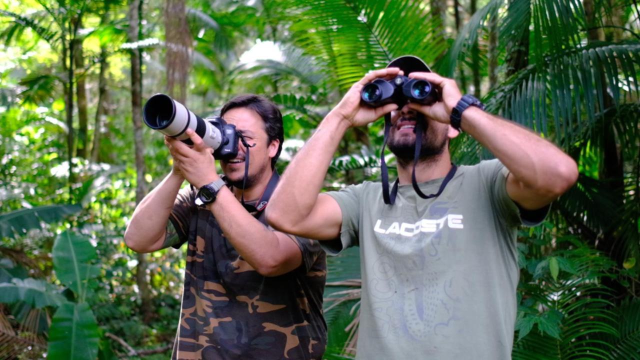 Pousada Salve Floresta Tapiraí Exteriér fotografie
